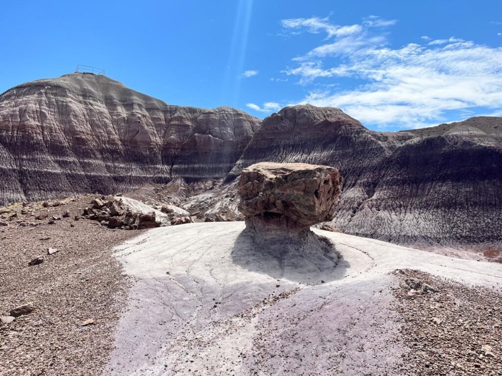 Uma grande tora de árvore petrificada no Petrified Forest National Park.