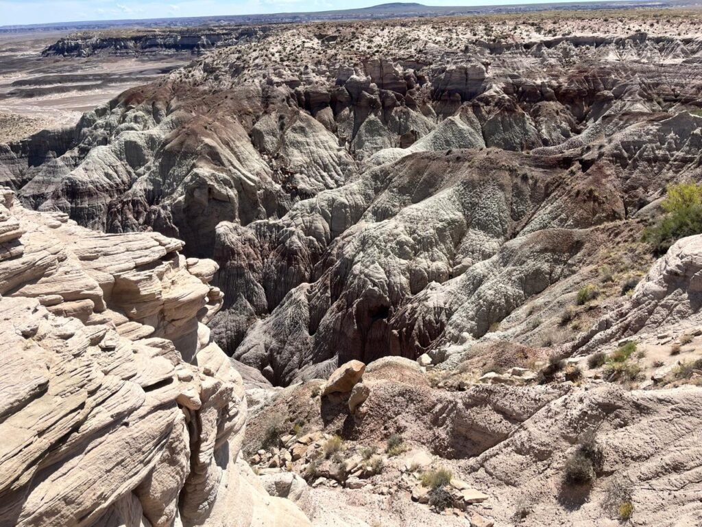 Petrified Forest National Park, Hoolbrook, AZ