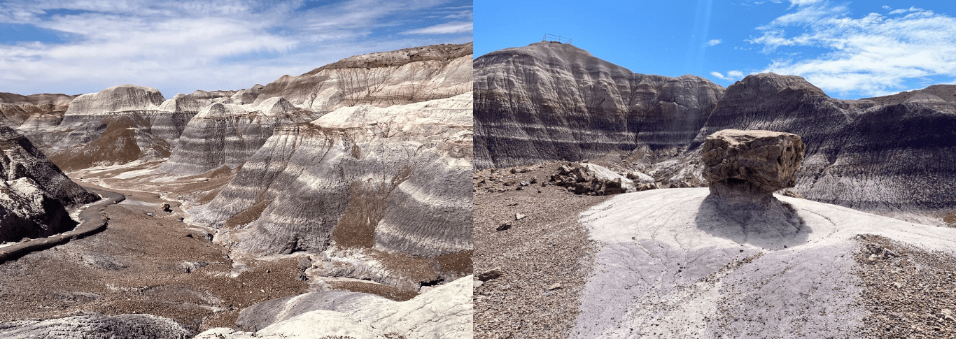 Petrified Forest National Park no Arizona